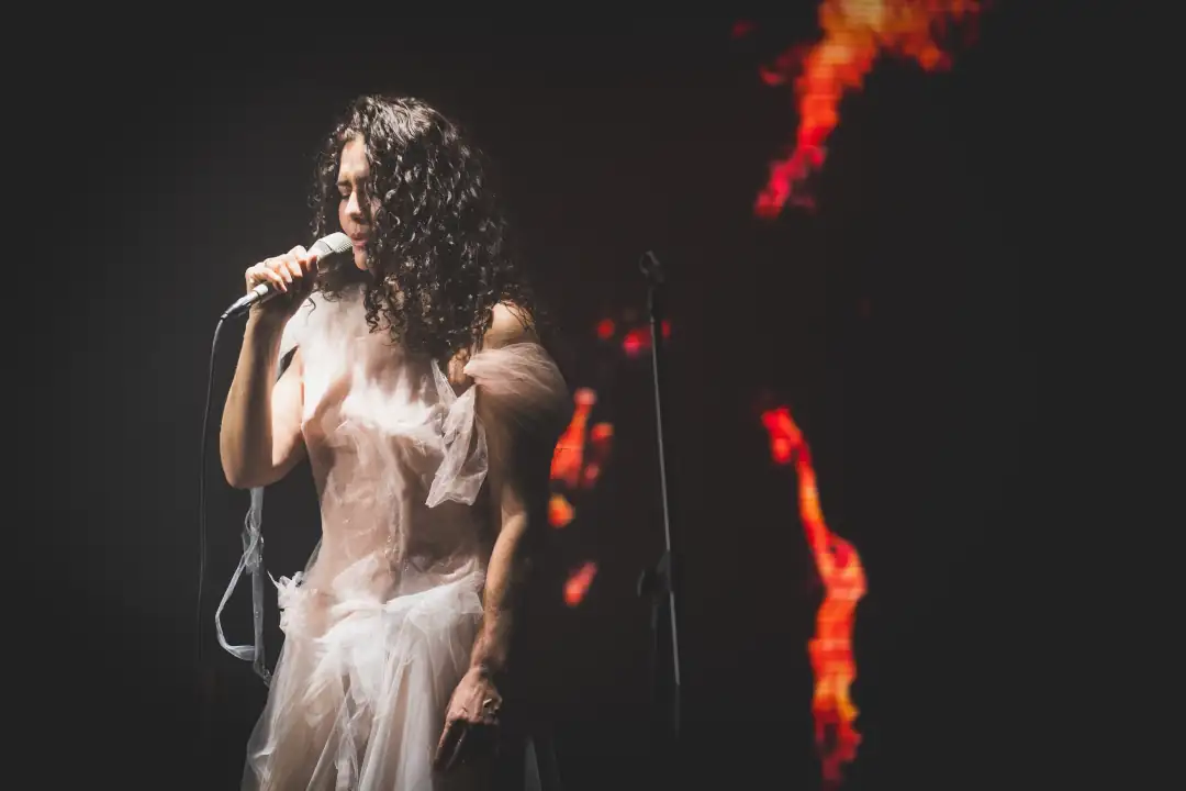 espetaculo-leticia-sabatella-e-paulo-braga02